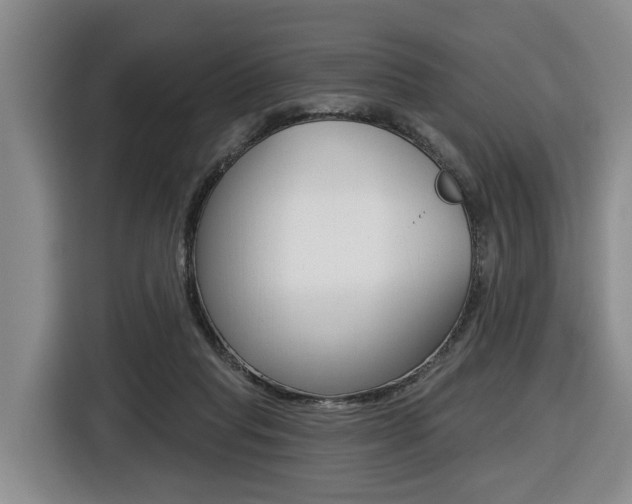 X0000116430261200912081226