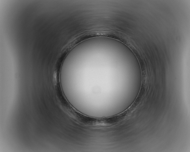 X0000116430262200912081226