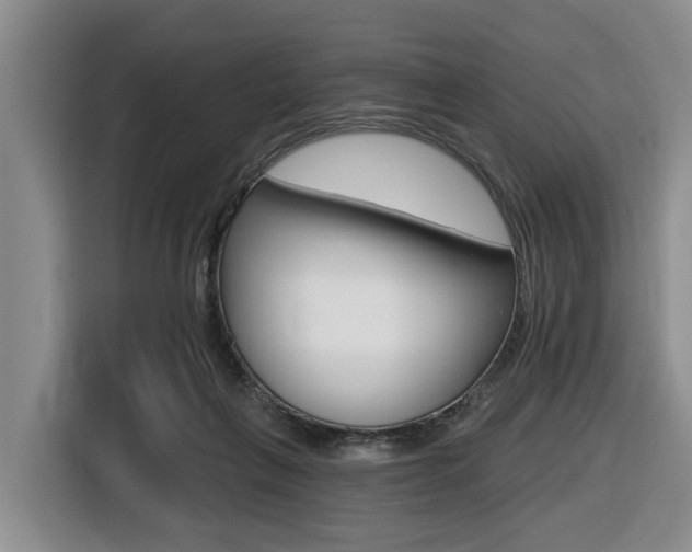 X0000116430263200912081226