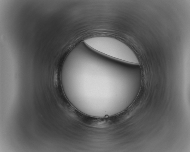 X0000116430267200912081226