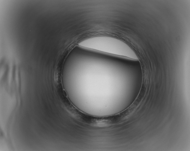 X0000116430268200912081226