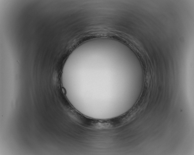 X0000116430270200912081226