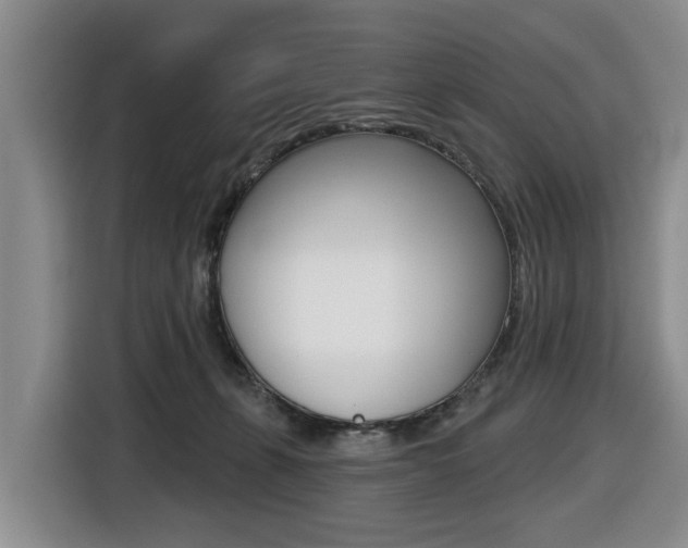 X0000116430271200912081226