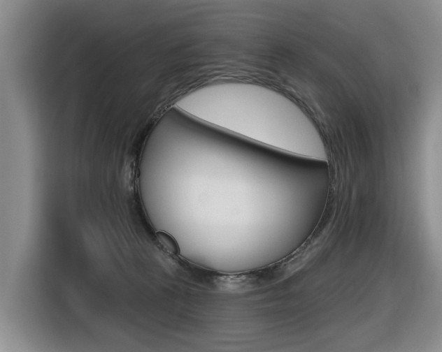 X0000116430273200912081226