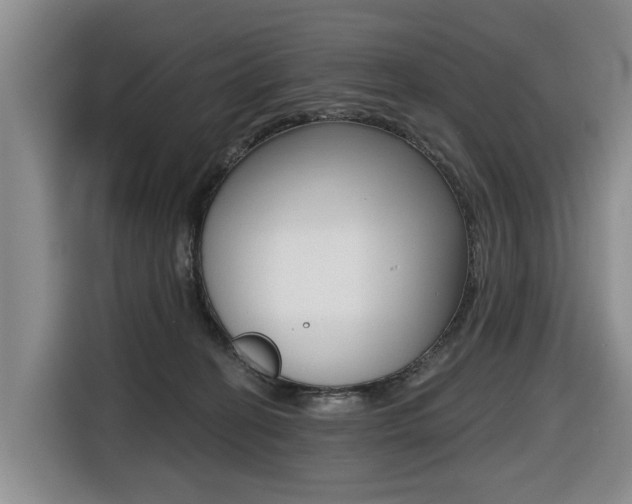 X0000116430274200912081226