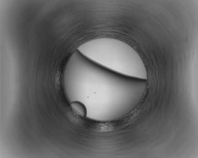 X0000116430275200912081226