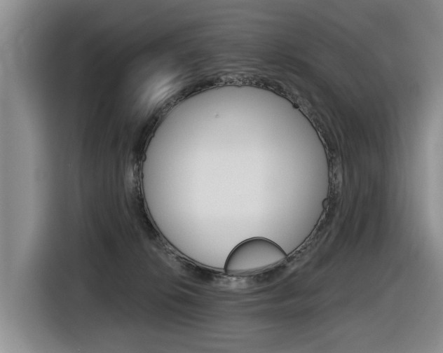 X0000116430276200912081226