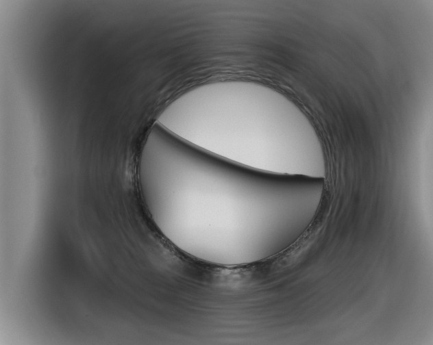 X0000116430277200912081226