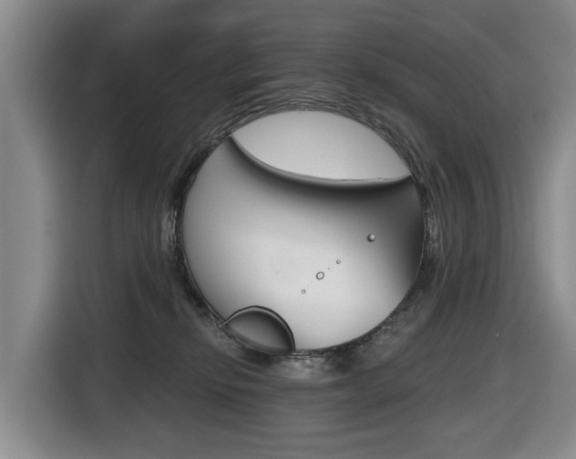 X0000116430278200912081226