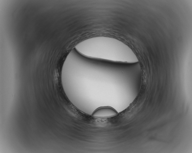 X0000116430279200912081226