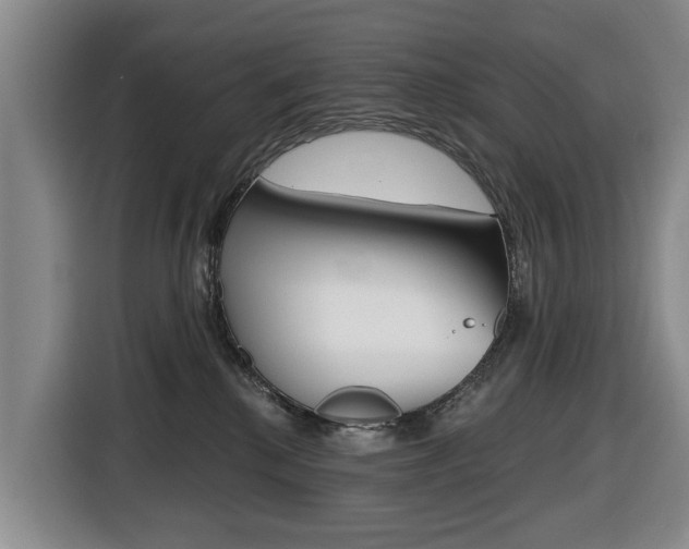 X0000116430280200912081226