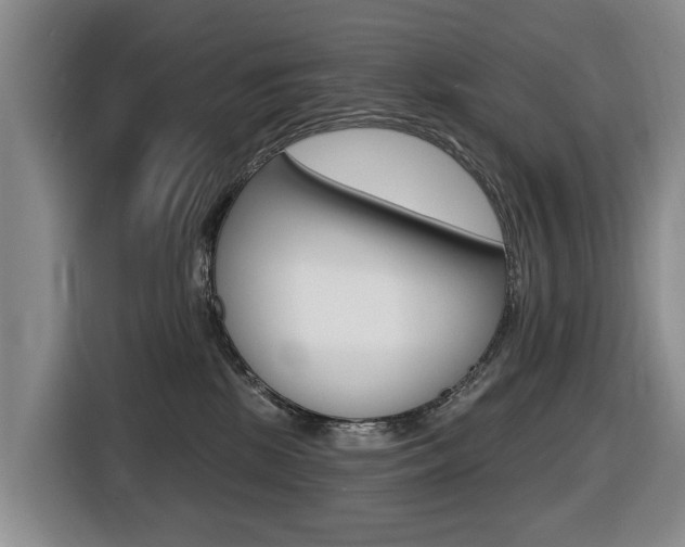 X0000116430281200912081226
