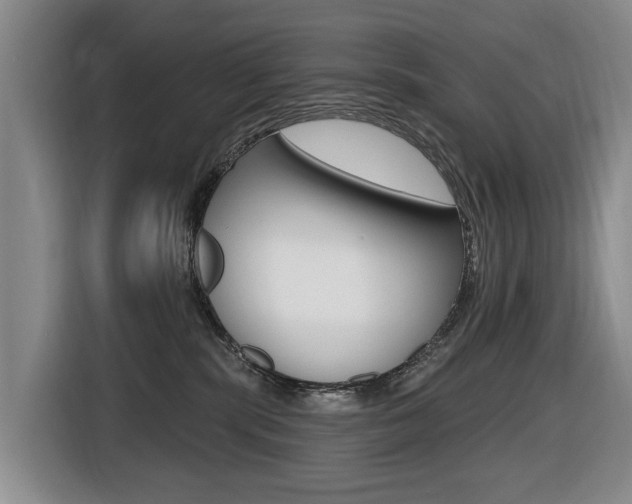 X0000116430283200912081226