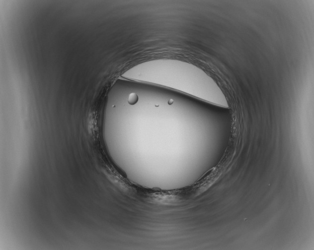 X0000116430284200912081227