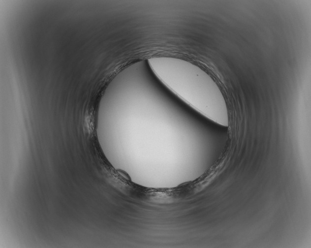 X0000116430285200912081227