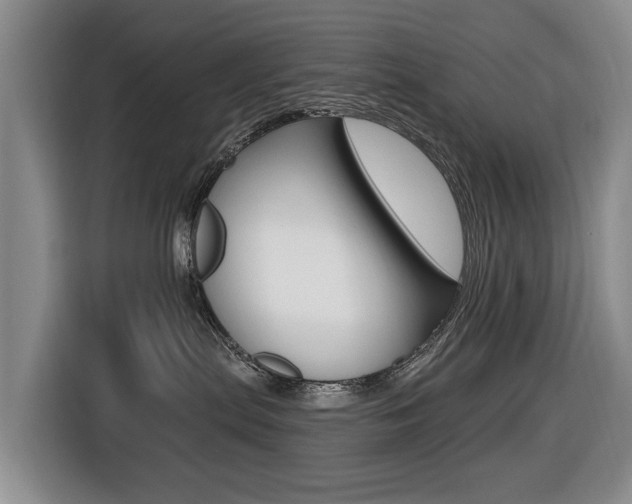 X0000116430287200912081227