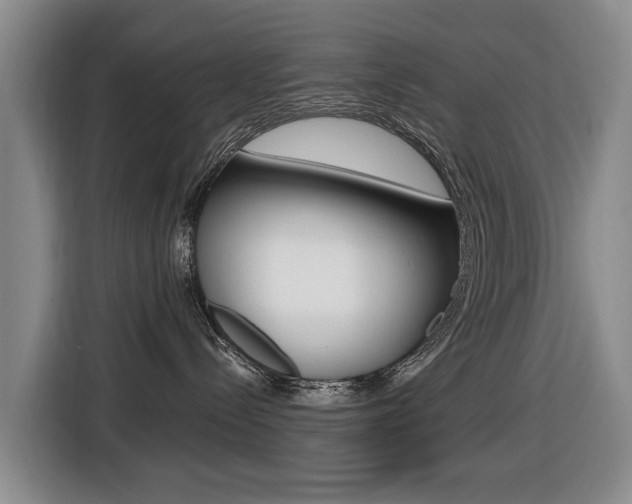 X0000116430288200912081227