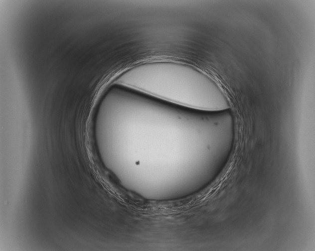 X0000116430289200912081226