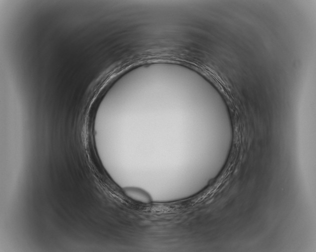 X0000116430290200912081226