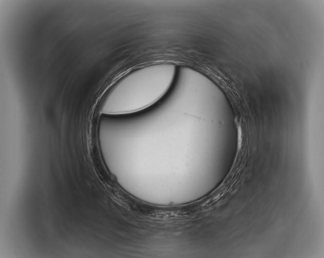 X0000116430291200912081226