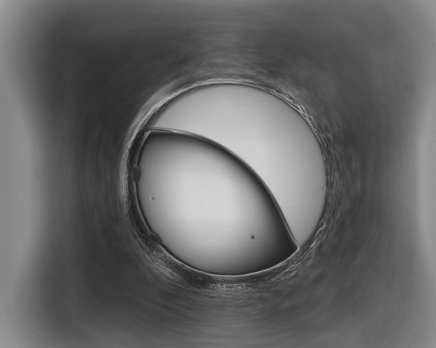 X0000116430296200912081226