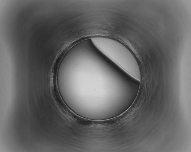 X0000116430299200912081226