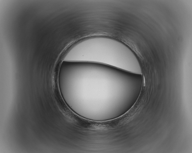 X0000116430300200912081226