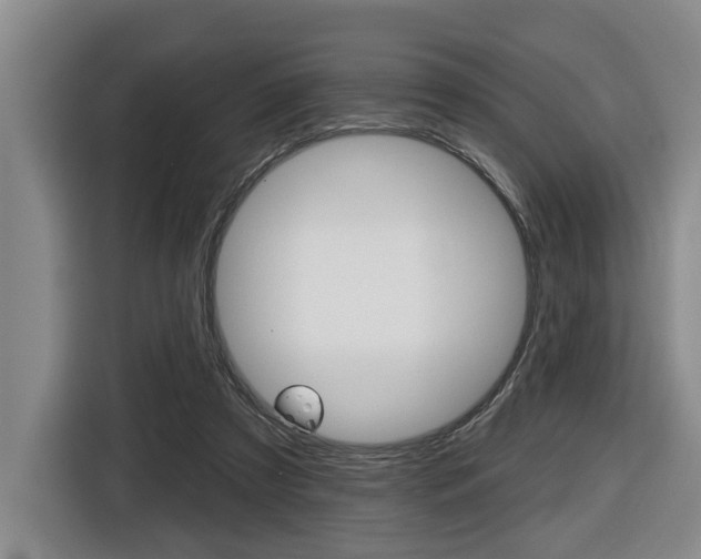 X0000116430305200912081226