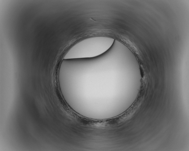 X0000116430306200912081226