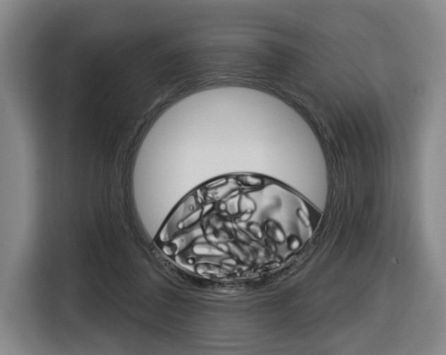 X0000116430308200912081226