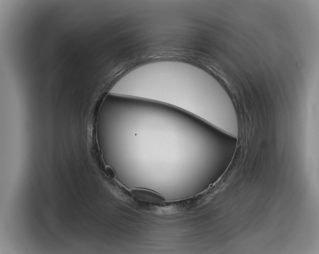 X0000116430309200912081226