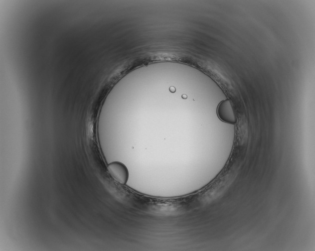 X0000116430310200912081226