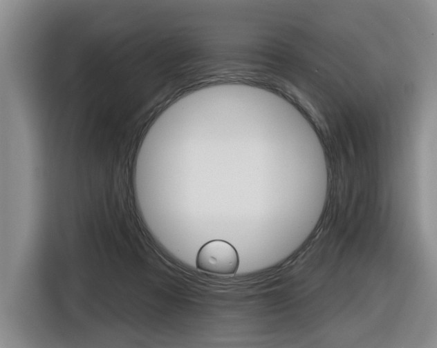 X0000116430313200912081226