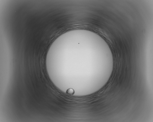 X0000116430317200912081226