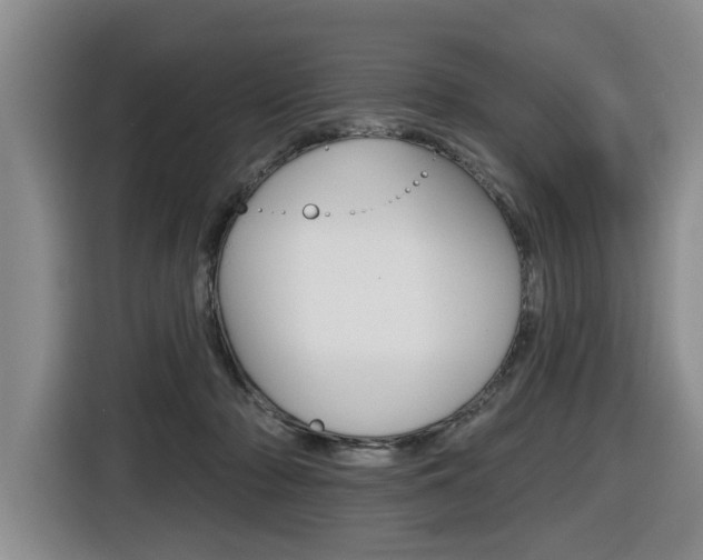 X0000116430318200912081226