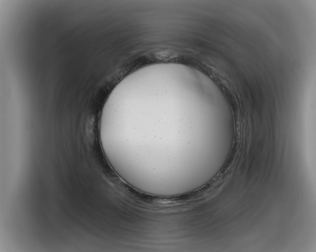 X0000116430319200912081226