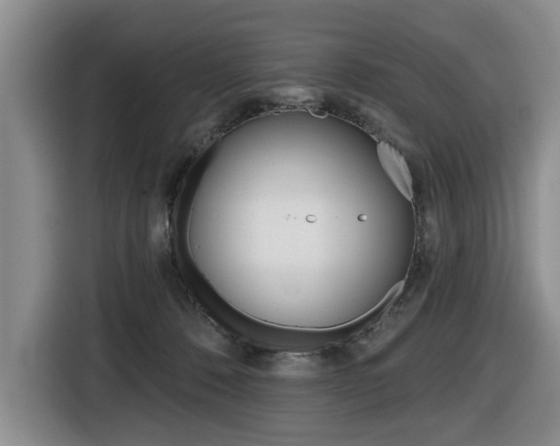 X0000116430320200912081226