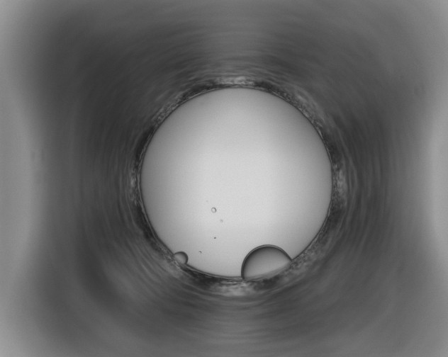 X0000116430322200912081226