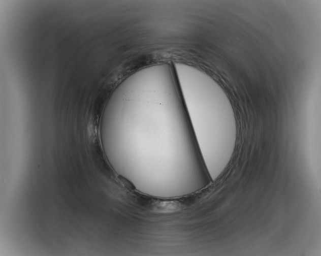 X0000116430324200912081225