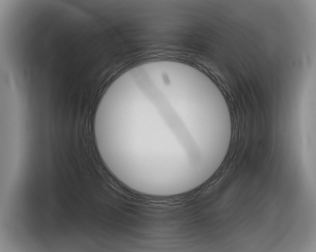 X0000116430325200912081225
