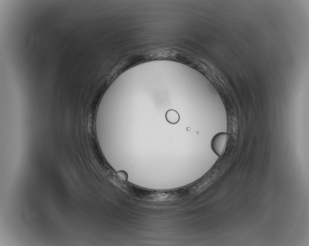 X0000116430326200912081225