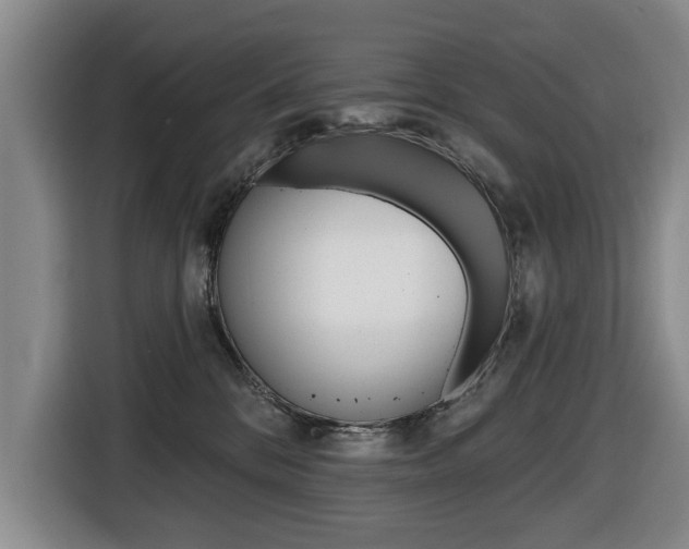 X0000116430328200912081225