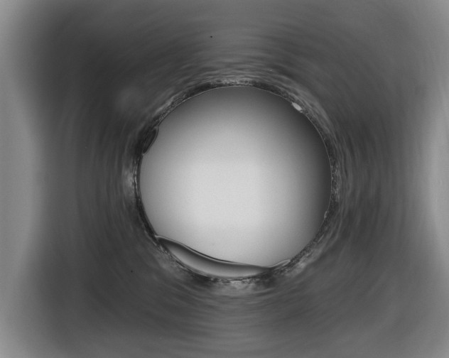X0000116430329200912081225