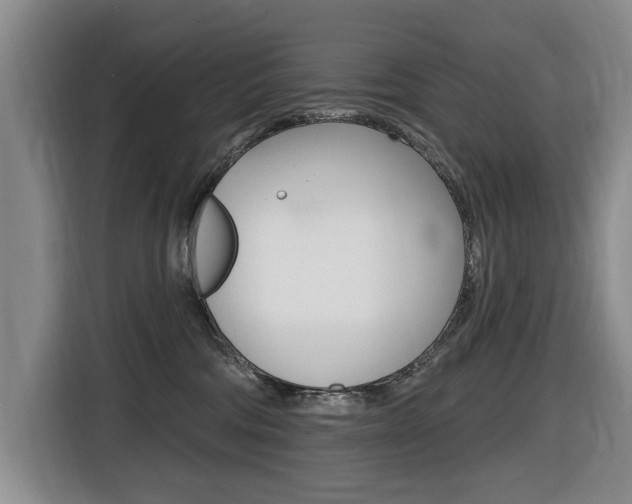 X0000116430330200912081225