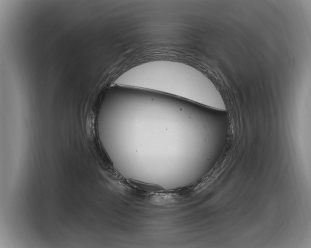 X0000116430332200912081225