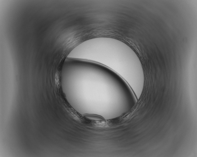 X0000116430335200912081225