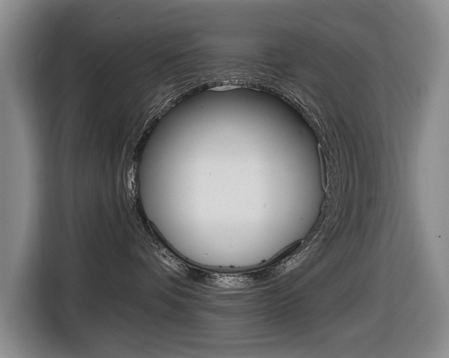 X0000116430336200912081225