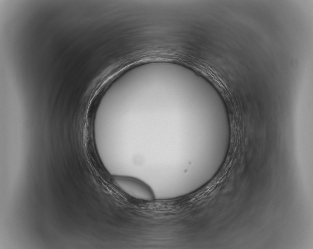 X0000116430338200912081225