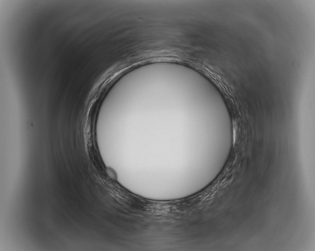 X0000116430339200912081225