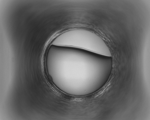 X0000116430341200912081225